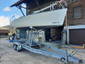 Dolphin 81 Dolphin 81 Racing boat