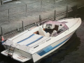 Bruno Abbate Boat-Sharing Zürichsee Seerose Offshore Boat