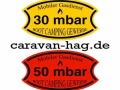 Mobile Gaspr&uuml;fung Segurança