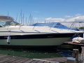 Cruisers Yachts 3470 Express Yacht à moteur