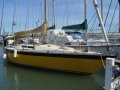 Oyster 37 Oceanska jadrnica