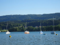Bojenplatz f&uuml;r Segeljacht Greifensee Bouée