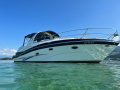 Viper 303 Sportboot