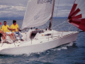 Dolphin 81 DOD 24.5 Regattaboot