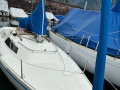 Frauscher h26 Yelkenli yat
