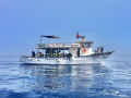 Barca diving, giro isola, trasporto Deplasementsbåt