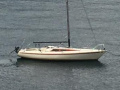 Pelle Peterson International 806 Barca a chiglia