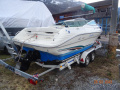 Sea Ray 230 Sportboot