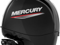 Mercury F150 EFI XL Hors-bord
