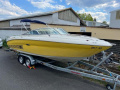 Sea Ray 220 SSE Sportboot