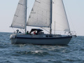 Compass 31 Yelkenli Yat