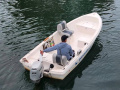 Quicksilver Fish 440 Fischerboot