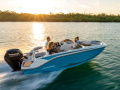 Bayliner Element M17 Sportski brod