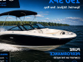 Sea Ray 190 SPX Bowrider