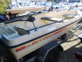 Terhi 405 Fun Dingi