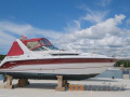 Chaparral 29 Signature Motorjacht