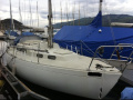 Vega Albin Marine Yacht à voile