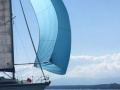 Spinnaker Voilure
