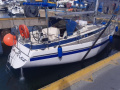 Sunbeam 34 Segelyacht