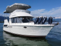 Carver 325 Aft Yacht a motore
