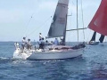 Salona 37 Segelyacht