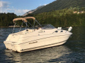 Wellcraft 2600 Martinique Motor Yacht