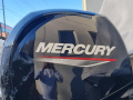 Mercury 150 PS Fuoribordo