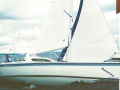 Sunwind 30 regatta mit LP Segelyacht