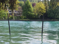Bootsplatz Thun Ponton fixe