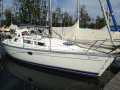 Jeanneau Sun Odyssey 31 Yacht a vela