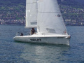 Santarelli Dolphin 81 Regattaboot