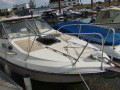 Campion Monashee Hardtop