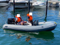 Pischel Ribline 4.1 Open RIB