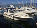 Draco 2700 Steerling Bateau offshore