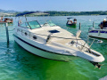 Sea Ray 250 Sundancer Sport Boat