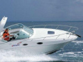 Sea Ray 275 Sundancer Sportboot