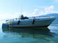 Quicksilver 435C Deck Boat