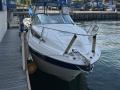 Bayliner 245 Sportboot