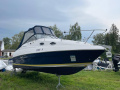 Regal 2465 COMMODORE Sportboot