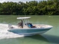 Boston Whaler 250 DAUNTLESS Sportboot