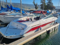 Sea Ray 220 OV Bateau de sport