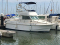 Motor Yacht goymar 800fly Flybridge