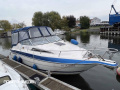 Wellcraft Excel 23 SE Sportboot