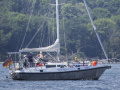 Reinke S 11 aus 1. Hand/Neue Rollreffgenua aus Zeiljacht