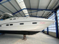 Sealine S38 Motorinė jachta