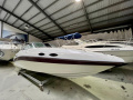 Celebrity 230 CC mit Duoprop - Antrieb Sportboot