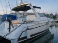 Formula 31 Motoryacht