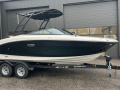 Sea Ray SPX 210 Outboard Bateau de sport