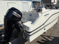 Quicksilver 455 Open/Mercury 60 Sport boat