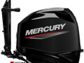 Mercury F40 ELPT EFI Hors-bord